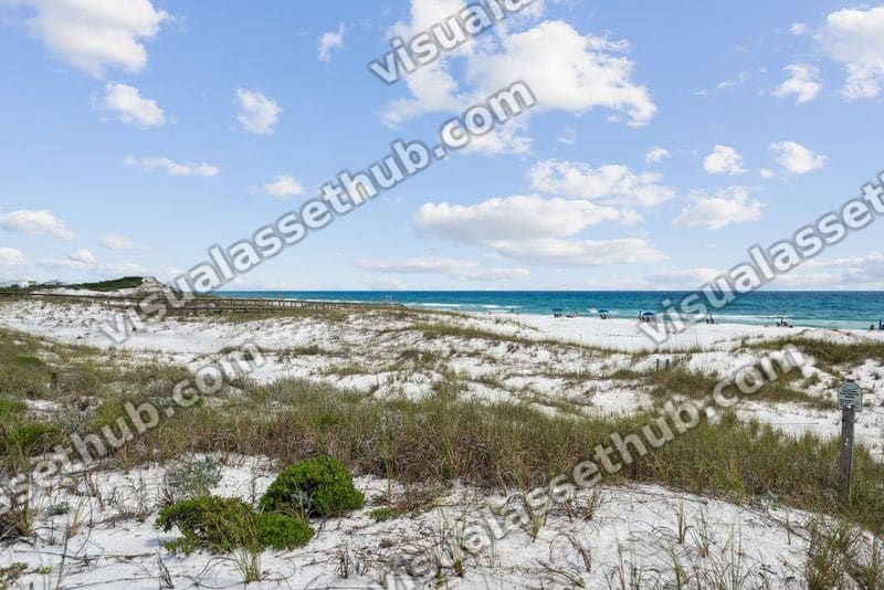 The Preserve at Grayton Beach Beach Access 005
