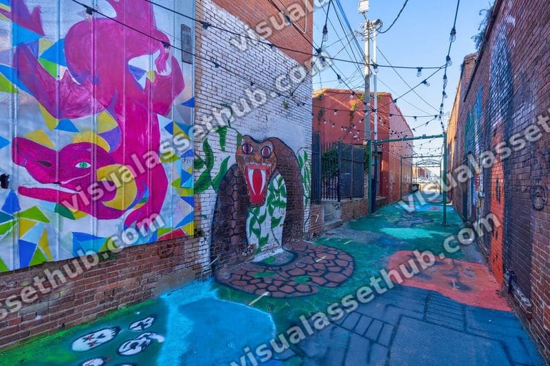 Dothan Scout Lane Alley 022AWP