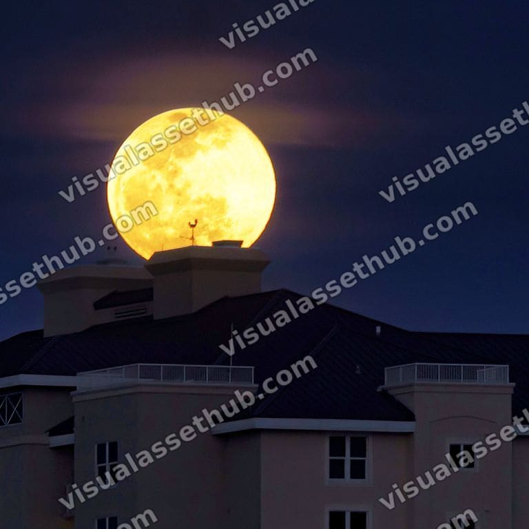 Grand Panana Night0001
