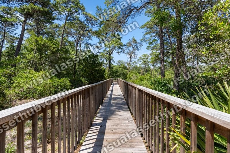 The Preserve at Inlet Beach AWP Media 00002