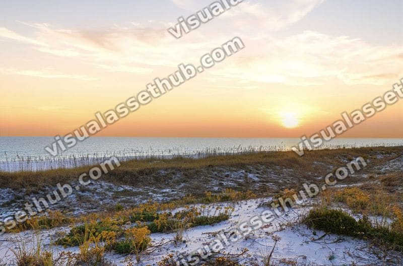 4203 Indian Bayou Trail Palms of Destin AWP Media 00022
