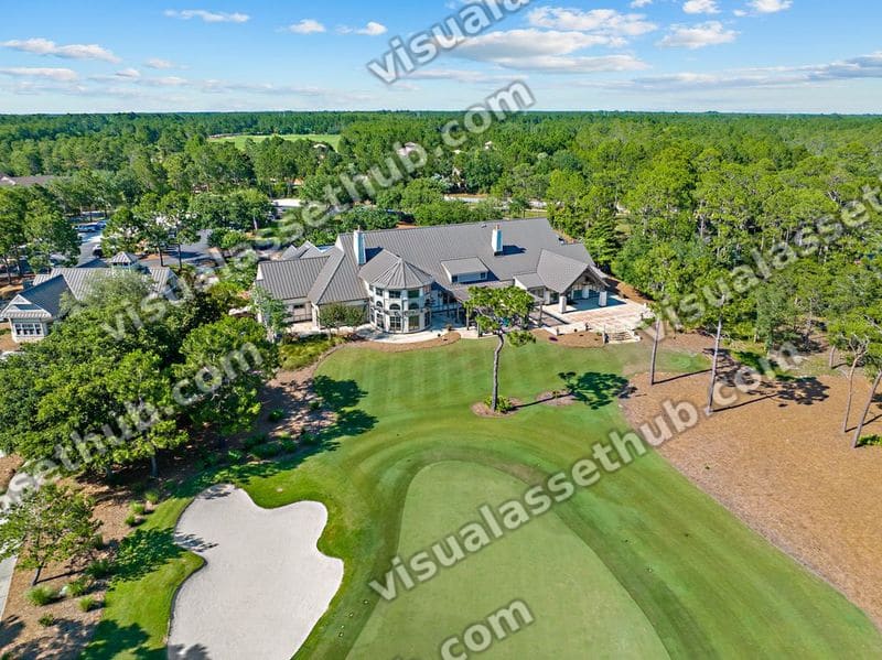 Wild Heron Clubhouse Drone 001