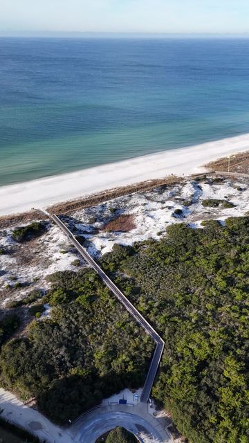 Phillips Inlet : Lupine Verical 02