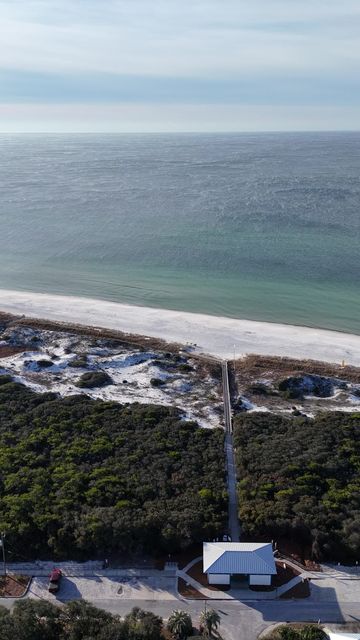 Phillips Inlet : Lupine Verical 01