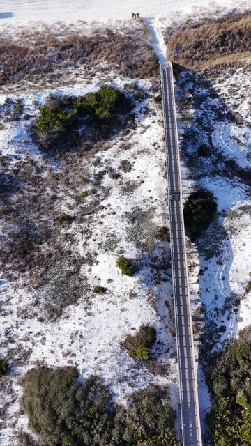 Phillips Inlet : Lupine Verical 08