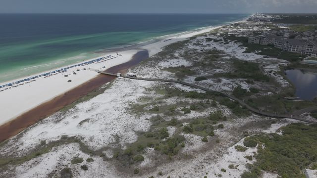 Watersound Beach Club 17