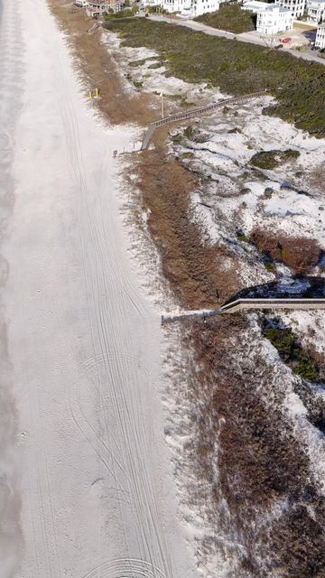 Phillips Inlet : Lupine Verical 04